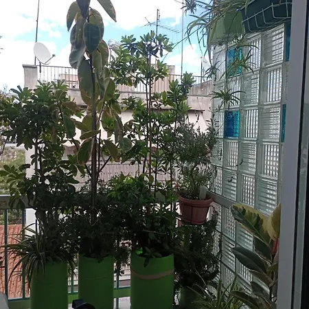 Neoclassical Apartamento *